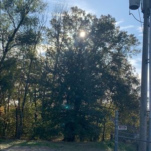 Meet your Posher, Toney